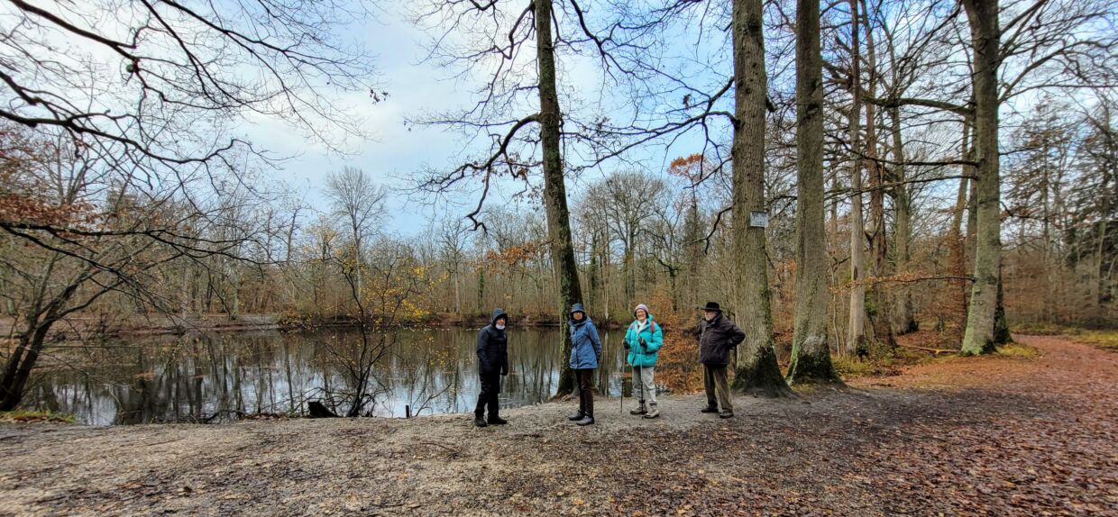 Promenons-nous dans les bois en participant à des petites balades avec le Comité des Fêtes chaque vendredi matin.