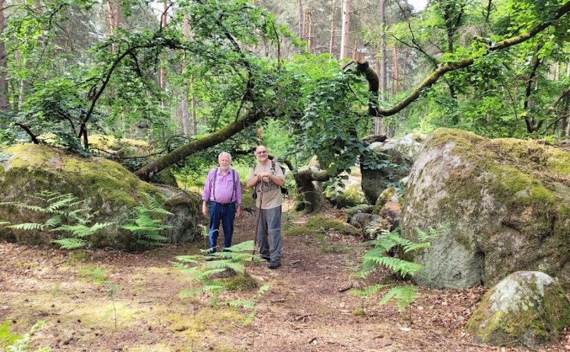 Que la foret est belle! Même si la pluie décourage quelques marcheuses et marcheurs, les balades du Comité des Fêtes sont toujours agréables.