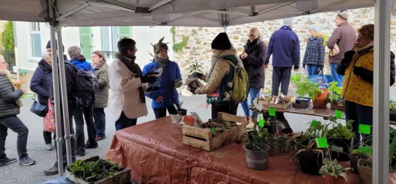 On troque, on donne, on plante cet automne à Fontaine-le-Port devant la salle des Fêtes rue Jean Moulin avec le Comité des Fêtes.