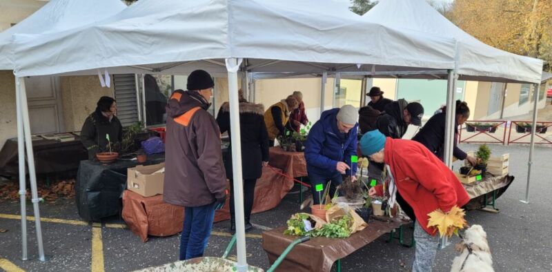 C'est le dimanche 17 novembre que le Comité des Fêtes de Fontaine le Port prévoit d'organiser les PUCES Enfants et le TROC Plantes d'automne.