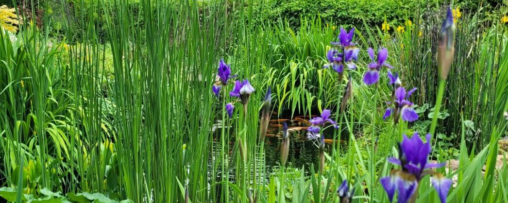 Voilà un beau programme de prévu dimanche 11 Mai autour de la nature avec le TROC'Plantes et la visite des Merveilles aux jardins du village.